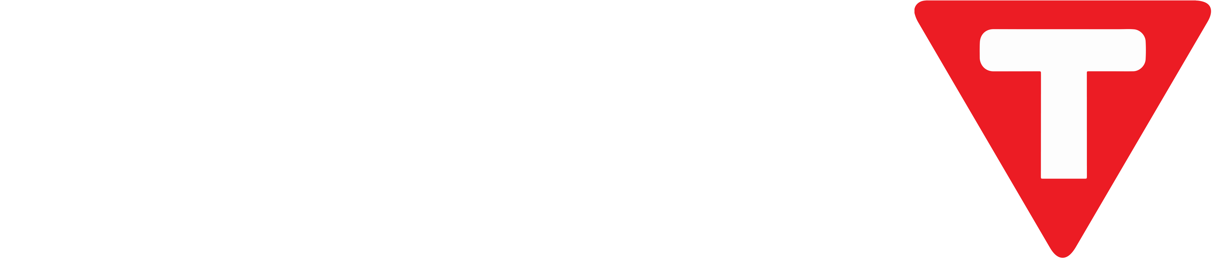 HTML5 Icon